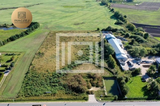 Działka inwestycyjna Gołębiewko. Zdjęcie 1
