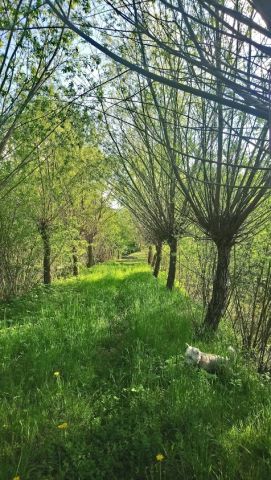 Działka rekreacyjna Glinik Górny Poddział. Zdjęcie 7