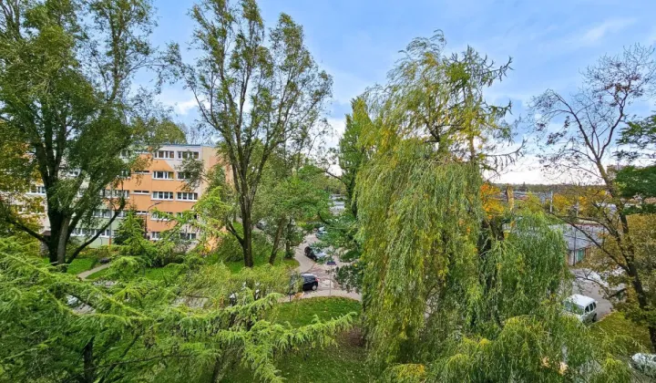 Mieszkanie 2-pokojowe Łódź Bałuty, ul. Jana Woronicza