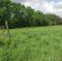 Działka rolna Przemocze, Kasztanowa. Zdjęcie 3