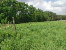 Działka rolno-budowlana Przemocze, ul. Kasztanowa. Zdjęcie 3