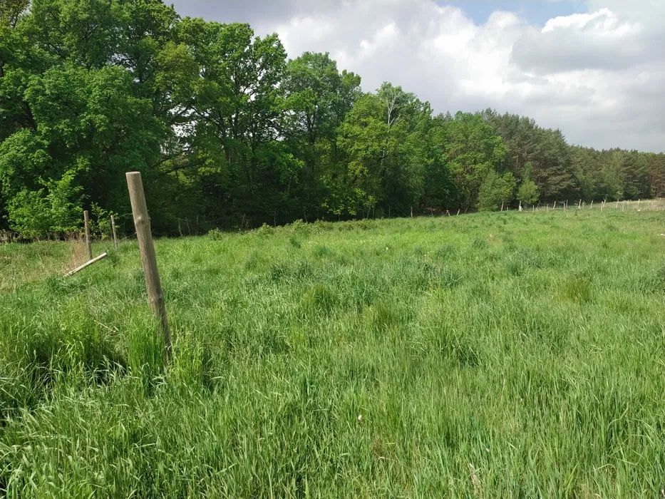 Działka rolna Przemocze, ul. Kasztanowa. Zdjęcie 3