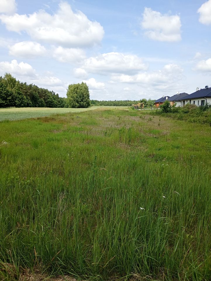 Działka rolno-budowlana Aleksandria Aleksandria Druga, ul. Gwiezdna. Zdjęcie 7