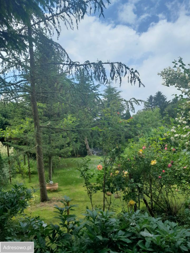 Działka rod Warszawa Mokotów, ul. Dłutowska. Zdjęcie 6