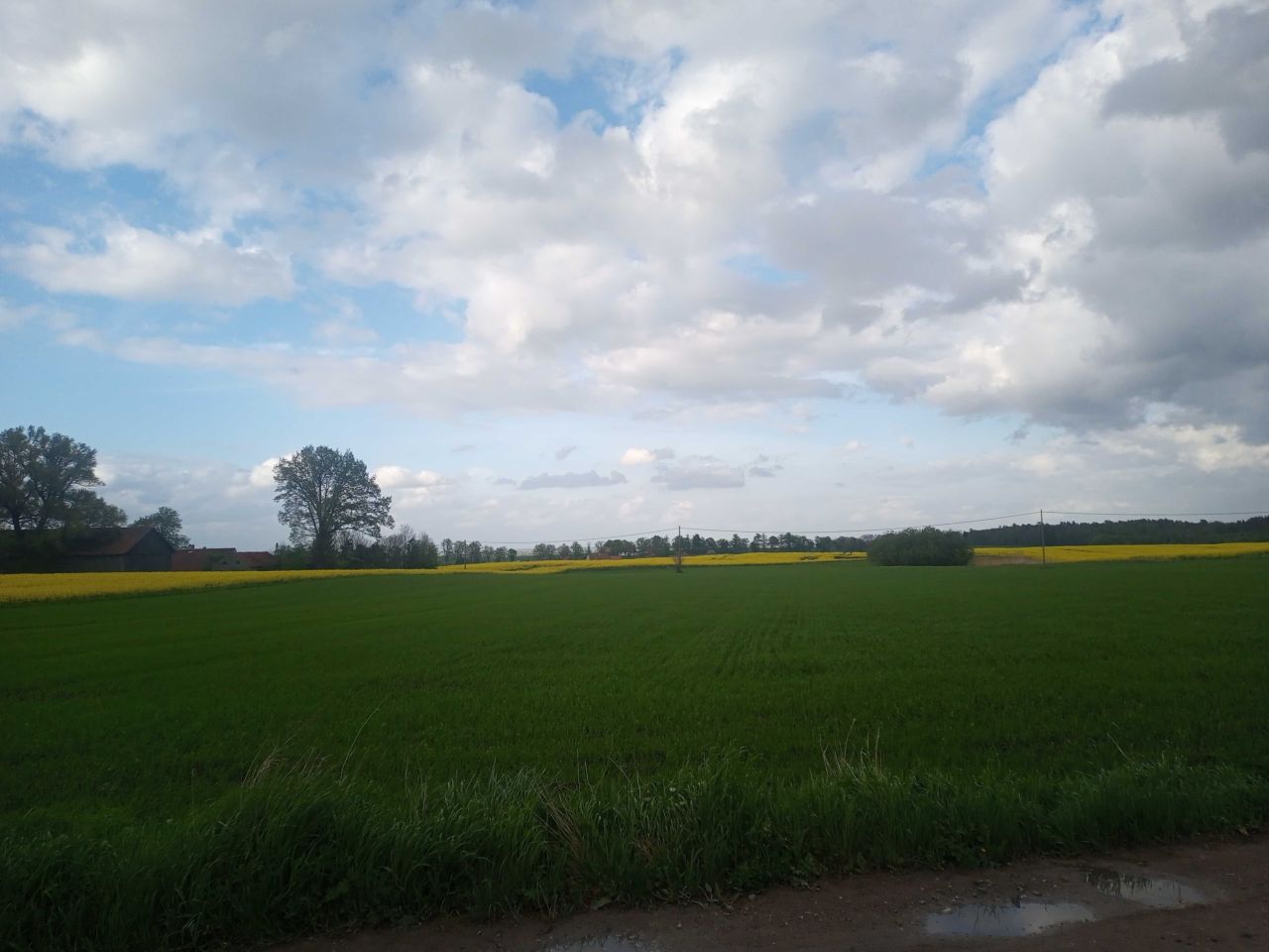 Działka rolno-budowlana Łędławki. Zdjęcie 6