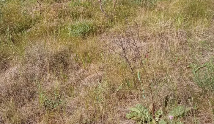 Działka budowlana Wągrowiec Osada, ul. Kukułcza