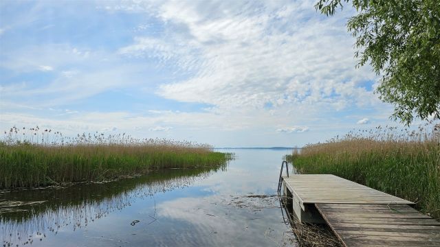 Działka rolna Dziubiele. Zdjęcie 23