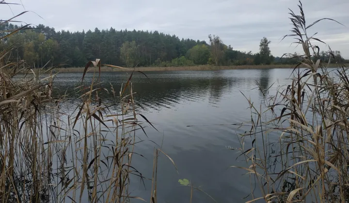 Działka rekreacyjna Kłodowo