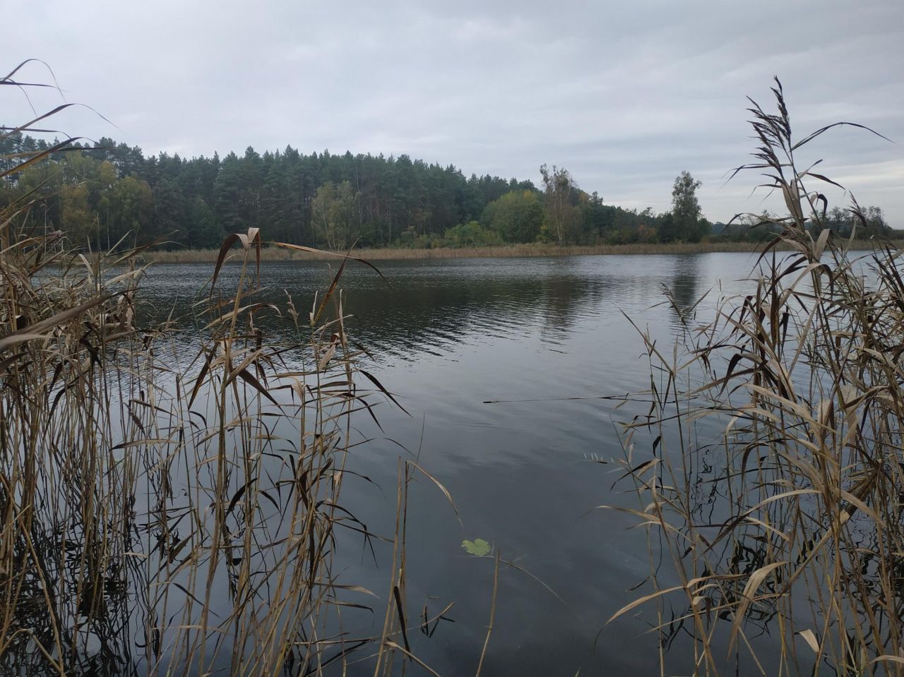 Działka rekreacyjna Kłodowo