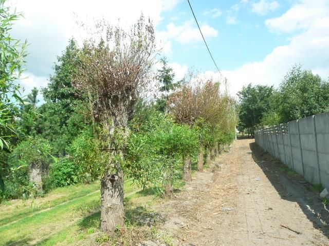 Działka budowlana Błonie. Zdjęcie 3