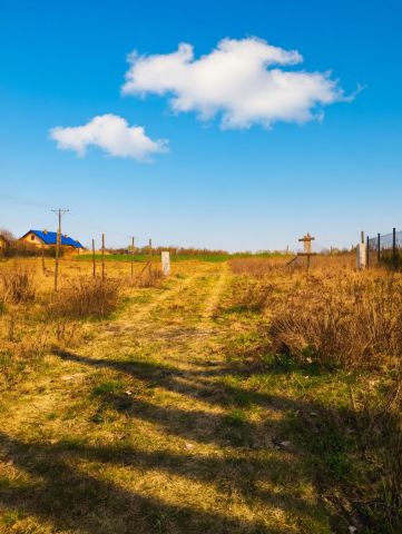 Działka budowlana Stara Dąbrowa. Zdjęcie 13