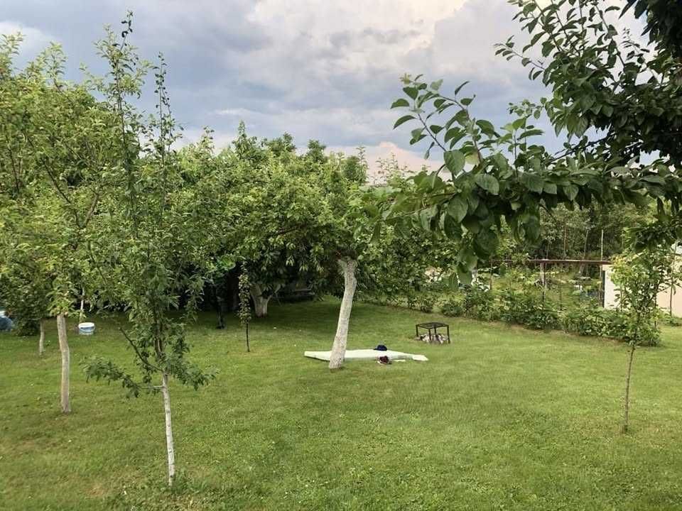 Działka rod Prudnik. Zdjęcie 6