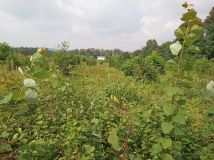 Działka inwestycyjna Kraków Olszanica, ul. Olszanicka. Zdjęcie 1