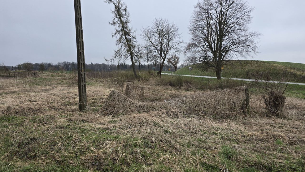 Działka rolna Cygusy. Zdjęcie 2