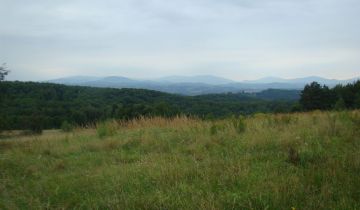 Działka rolno-budowlana Sobolów
