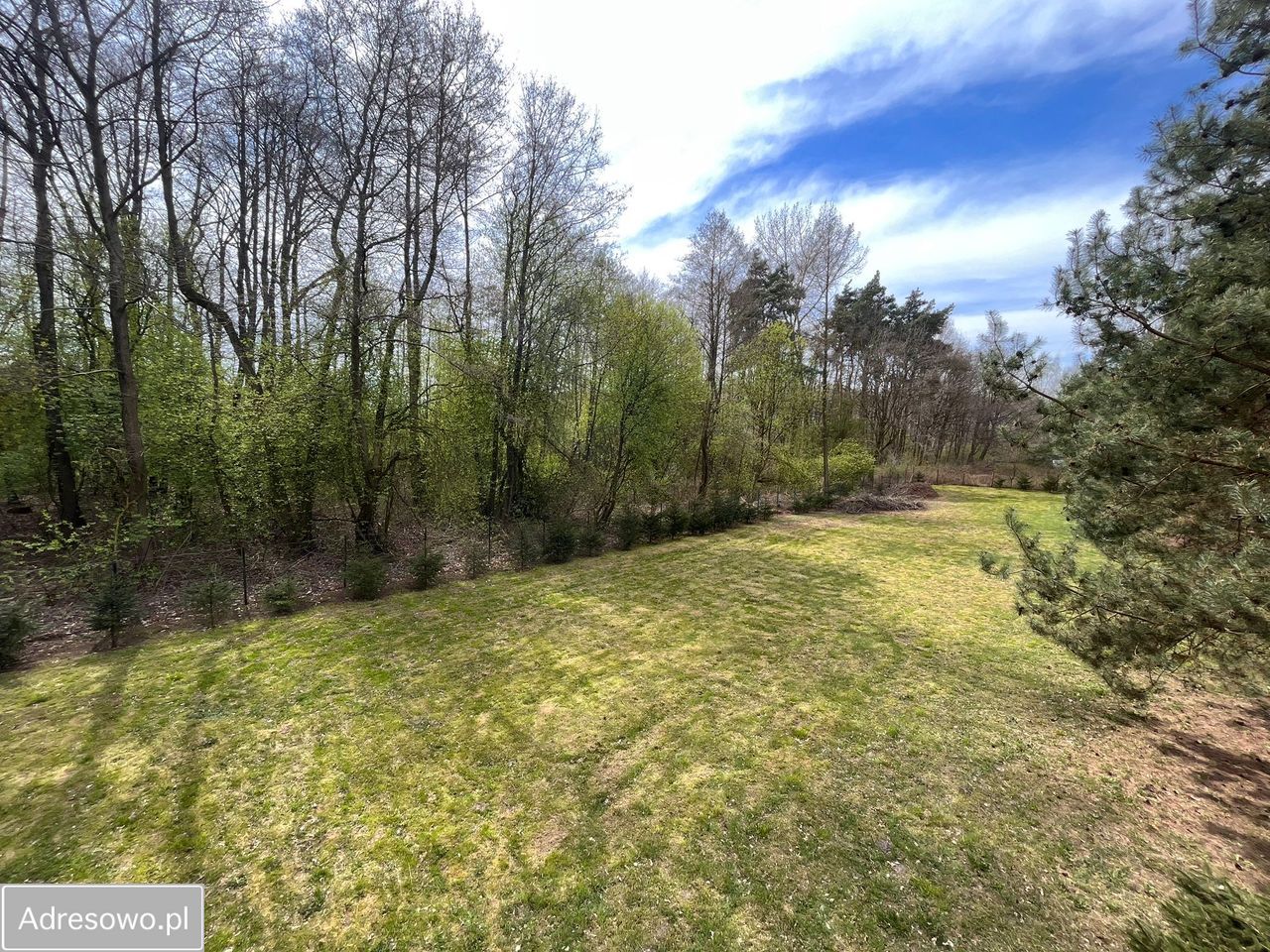 Działka rekreacyjna Żelazno. Zdjęcie 3