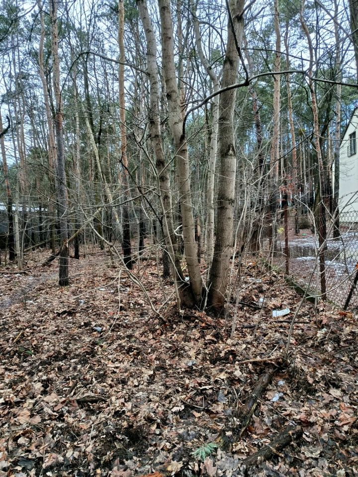 Działka leśna Legionowo, ul. Aleja Legionów. Zdjęcie 2