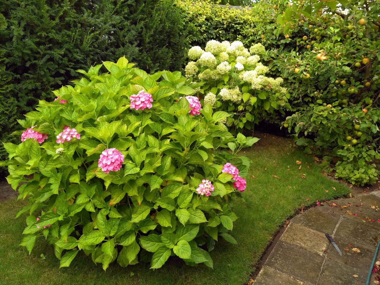 Działka rod Konin Wilków, ul. Świętojańska. Zdjęcie 12