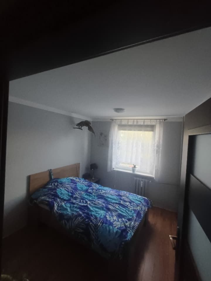 Mieszkanie 2-pokojowe Żyrardów Teklin, ul. Marii Nietrzebki. Zdjęcie 3