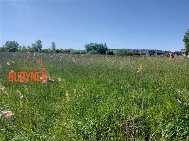 Działka budowlana Darłowo, ul. Kwiatowa. Zdjęcie 3