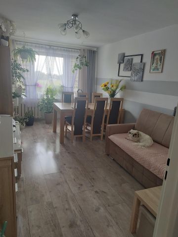 Mieszkanie 3-pokojowe Glinojeck, ul. Południowa. Zdjęcie 1