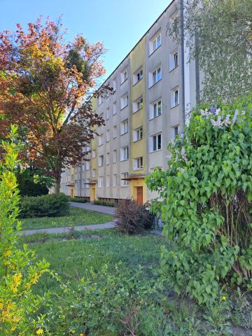 Mieszkanie 3-pokojowe Poznań Rataje, os. Rzeczypospolitej. Zdjęcie 1