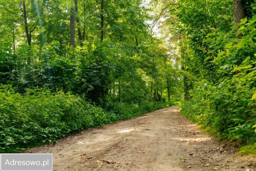 Działka budowlana Woryty. Zdjęcie 4
