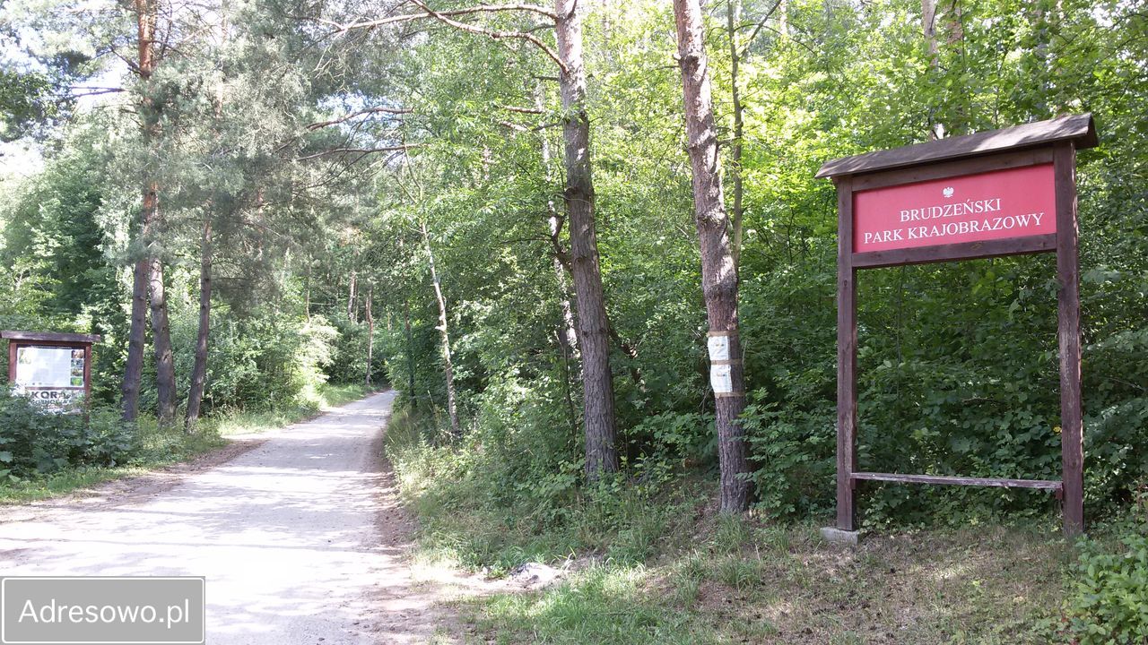 dom wolnostojący, 4 pokoje Janoszyce. Zdjęcie 20