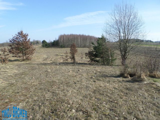 Działka budowlana Tągowie. Zdjęcie 5