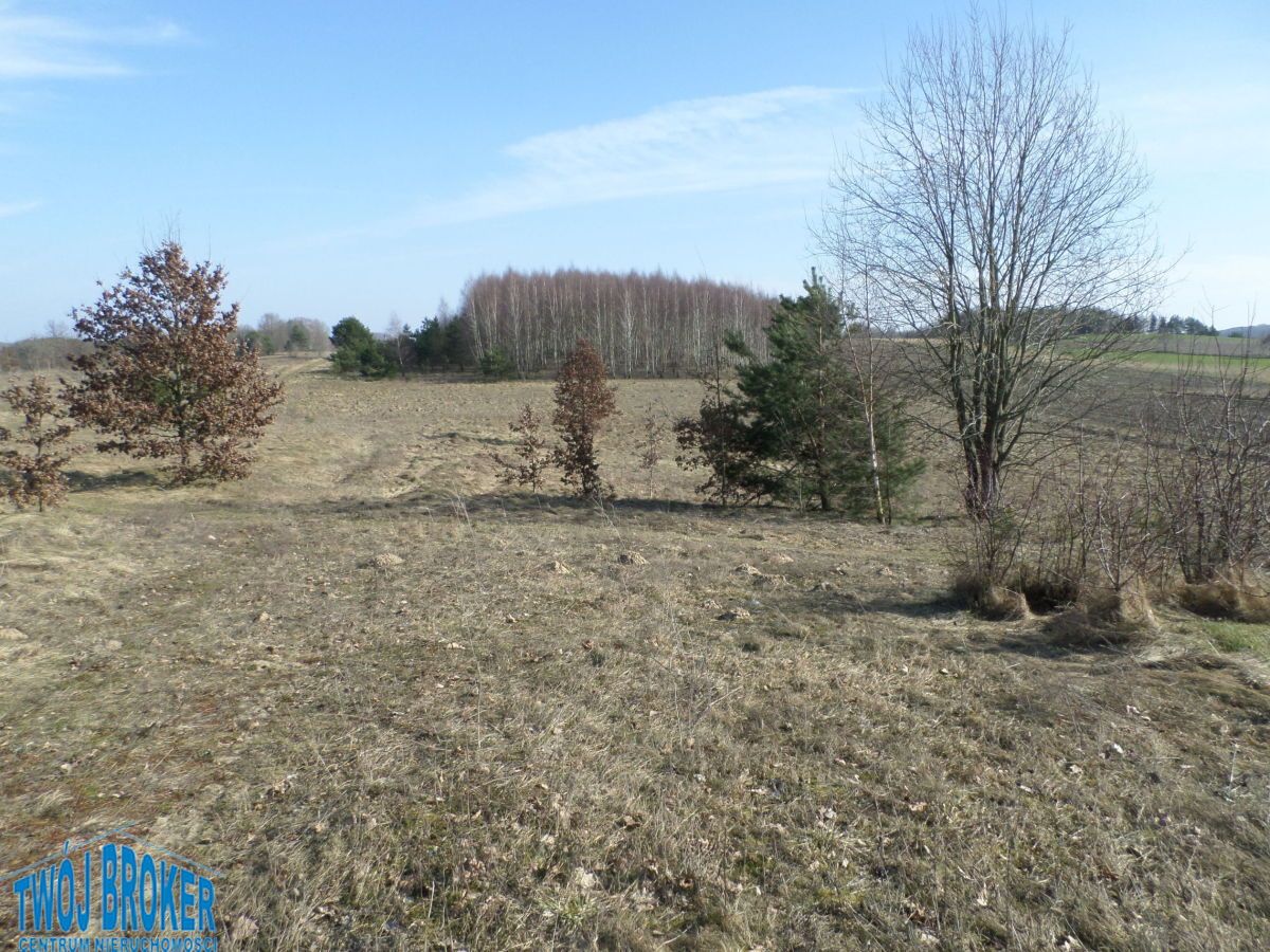 Działka budowlana Tągowie. Zdjęcie 5