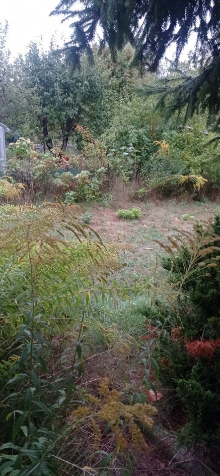 Działka rod Łódź Widzew, ul. Lodowa. Zdjęcie 52