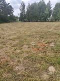 Działka budowlana Kolonia Lesiów. Zdjęcie 2