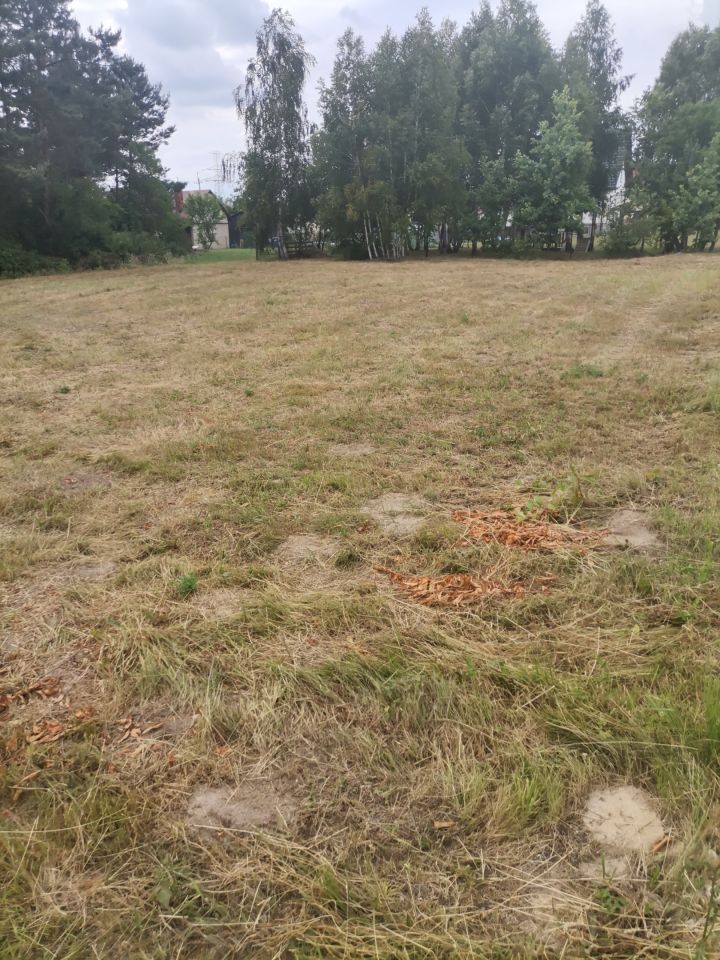 Działka budowlana Kolonia Lesiów. Zdjęcie 3