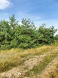 Działka rolna Białków Górny. Zdjęcie 3