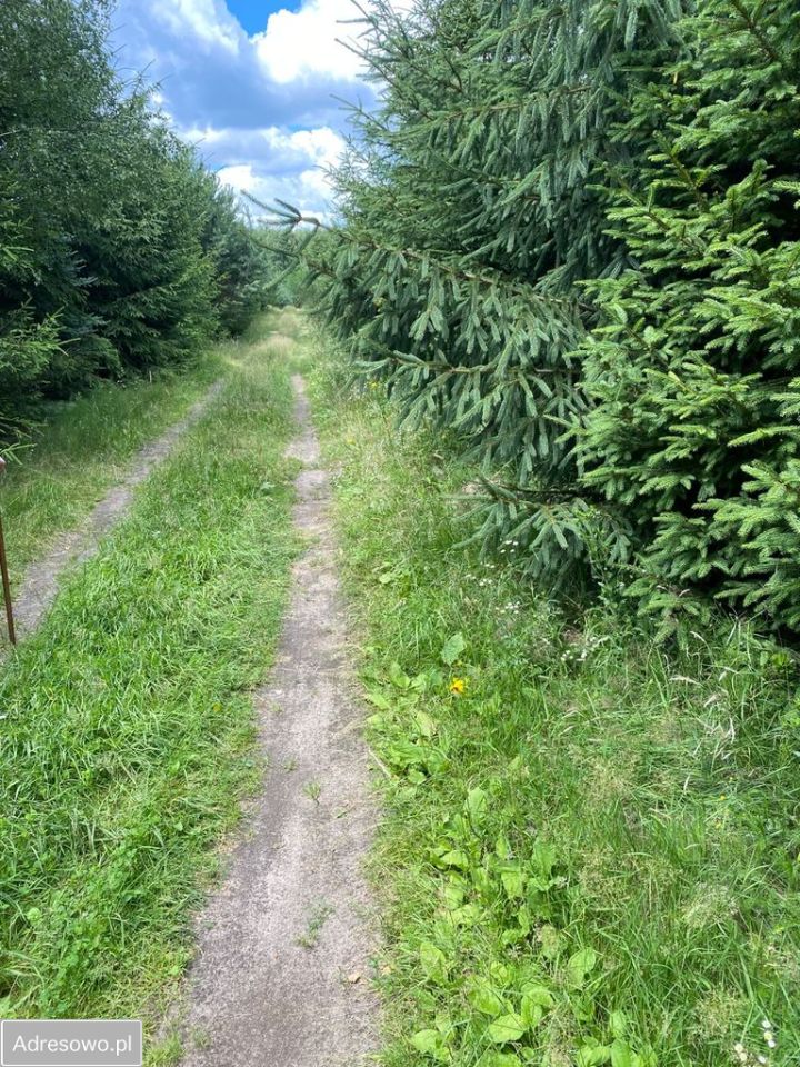 Działka budowlana Tleń. Zdjęcie 6