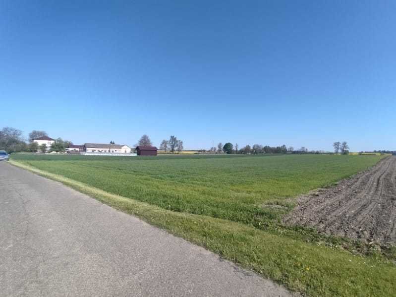Działka budowlana Miączyn-Kolonia. Zdjęcie 1