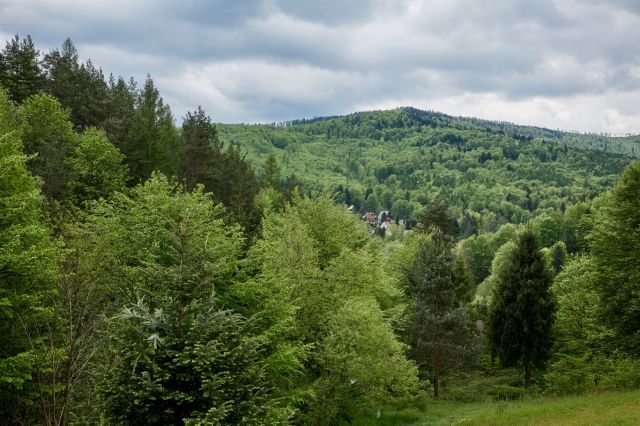 dom wolnostojący, 5 pokoi Porąbka. Zdjęcie 21