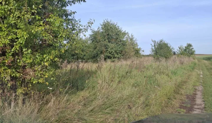 Działka rolno-budowlana Brudnice, ul. Poniatowska