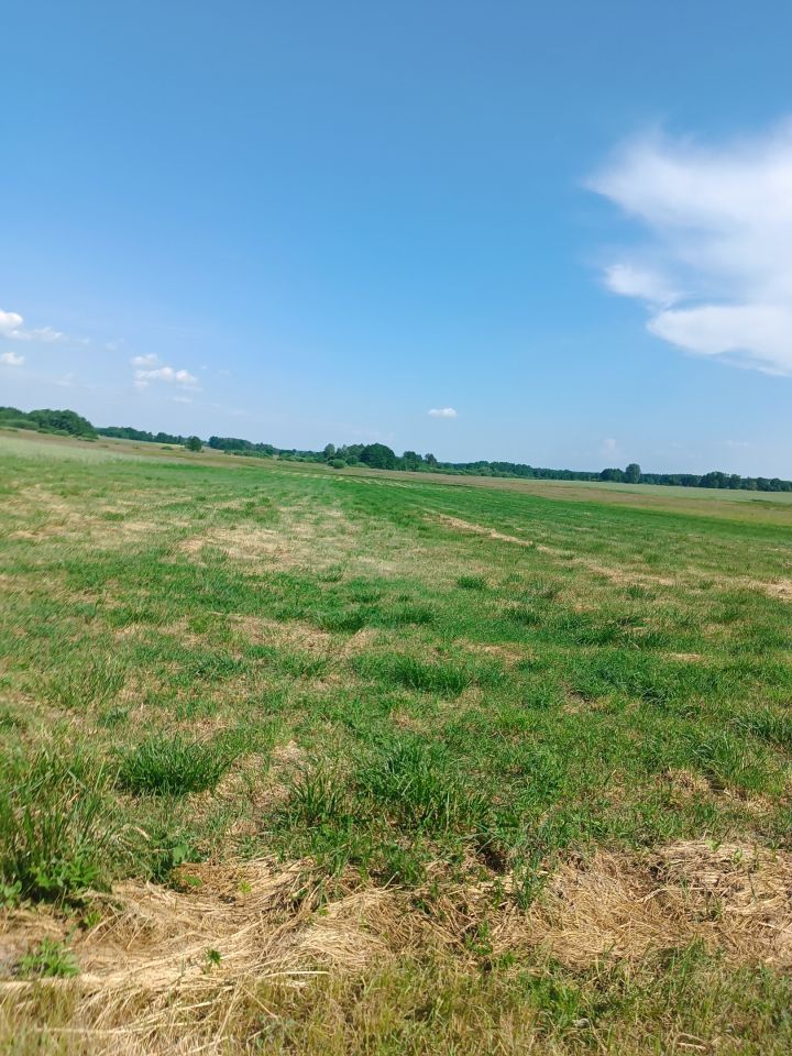 Działka rolna Łączany. Zdjęcie 2