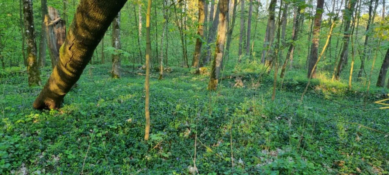 dom letniskowy, 3 pokoje Ostaszewo Nad Jeziorem. Zdjęcie 18