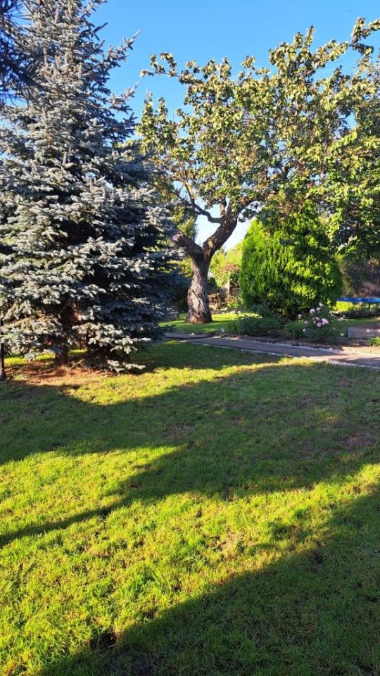 Działka rod Szamotuły. Zdjęcie 2