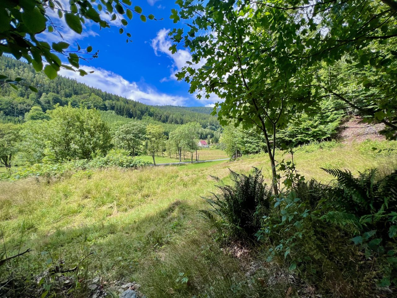 Działka rekreacyjna Jarkowice. Zdjęcie 8