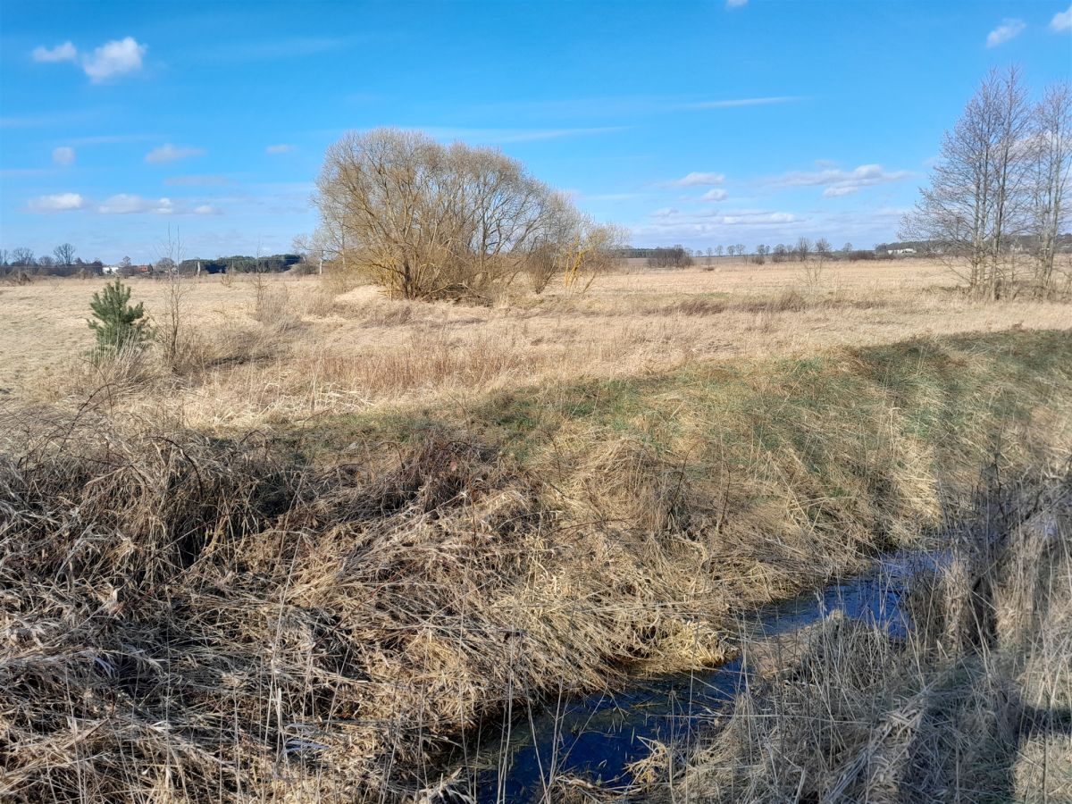 Działka budowlana Jerwonice. Zdjęcie 5