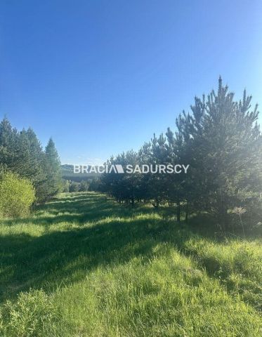 Działka rolno-budowlana Rokitno Szlacheckie. Zdjęcie 14