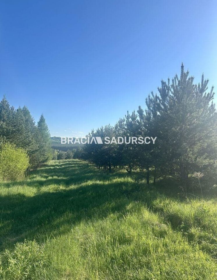 Działka rolno-budowlana Rokitno Szlacheckie. Zdjęcie 14