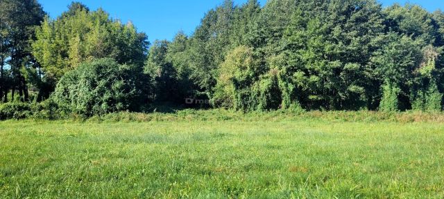 gospodarstwo Głowaczów, ul. Stromiecka. Zdjęcie 11