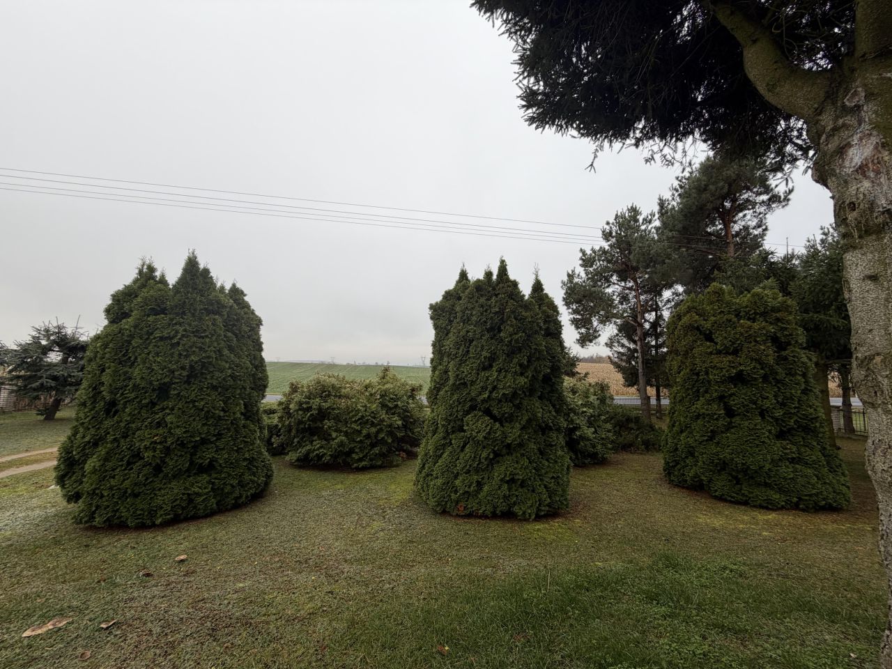 dom wolnostojący, 6 pokoi Lipnica. Zdjęcie 33