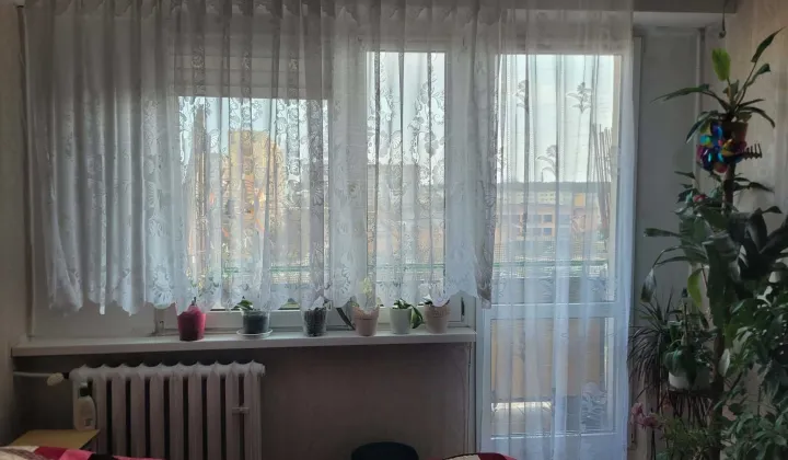 Mieszkanie 2-pokojowe Włocławek, ul. Izabeli Zbiegniewskiej