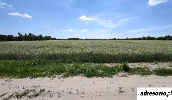 Działka rolna Stary Sławacinek