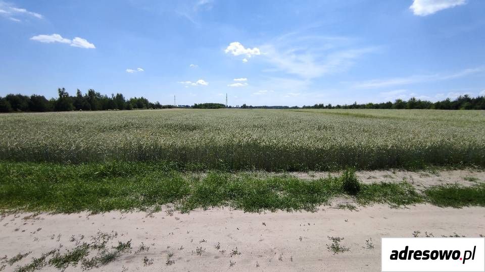 Działka rolna Stary Sławacinek. Zdjęcie 1